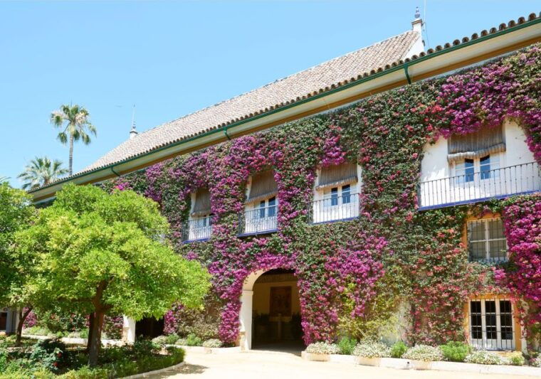 Seville: Palacio De Las Dueñas Entry Ticket and Guided Tour - Courtyard, Gardens, and Fine Art