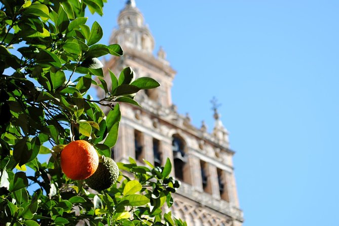 Seville Panoramic Walking Tour - Common Questions