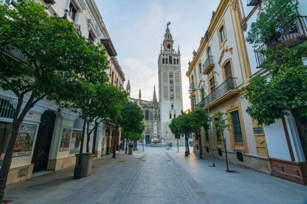 Seville : Private Bike Tour With A Guide - Additional Tour Options