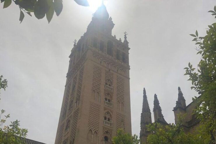 Seville: Private Custom Tour With a Local Guide - Experience Highlights