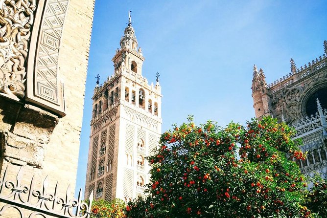 Seville Private Transfer to Lisbon With Optional Evora Stop - Pricing and Terms for the Seville to Lisbon Transfer