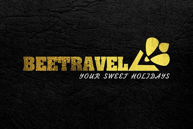 Seville Private Transfers (Minibuses up to 8pax) - Pickup and Drop-Off Options