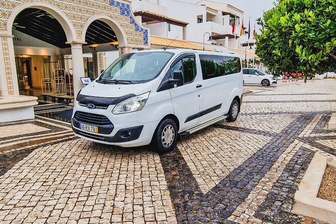 Seville Private Transfers (Minibuses up to 8pax) - Accessibility Details