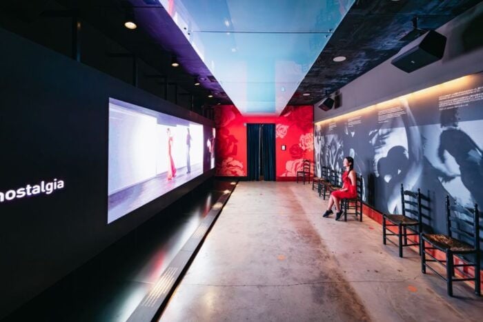 Seville: Puro Flamenco Show With Optional Museum Ticket - Flamenco Dance Museum