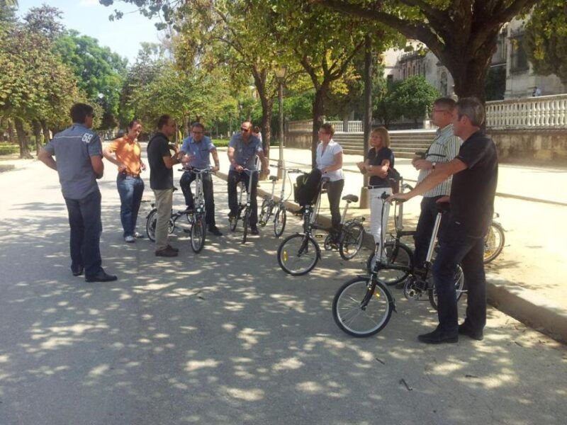 Seville: Relaxing Electric Bike Tour With Tour Guide - Good To Know