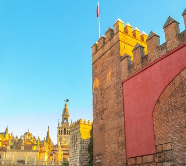 Seville: Royal Alcazar, Cathedral, and Giralda Tower Tour - Language Availability