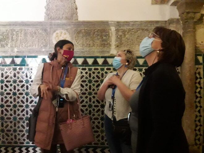 Seville: Royal Alcazar Guided Tour With Ticket - Meeting Point