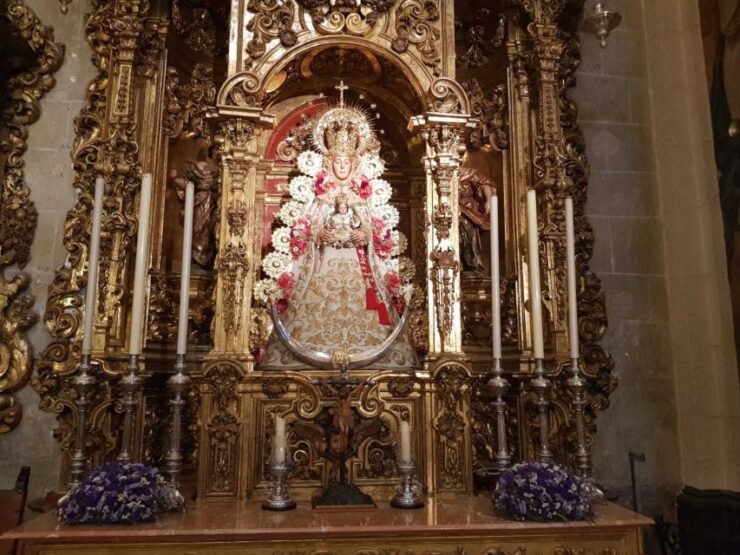 Seville: Salvador Church, Casa Pilatos, and Metropol Tour - Booking Information