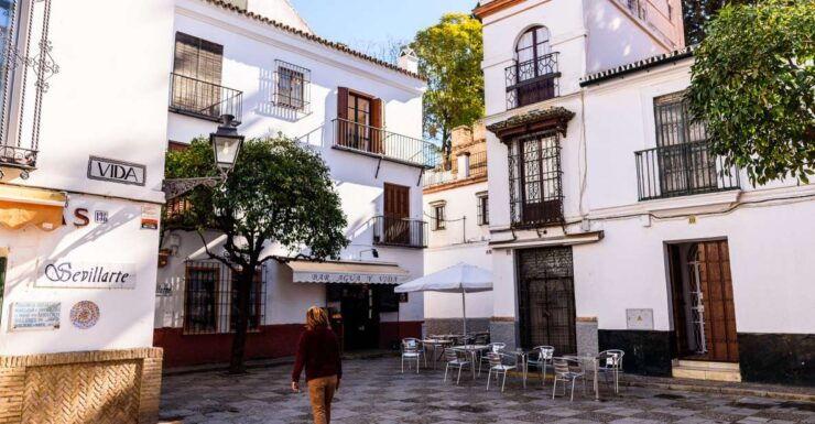 Seville: Santa Cruz Private Tour - Accessibility & Private Group Option