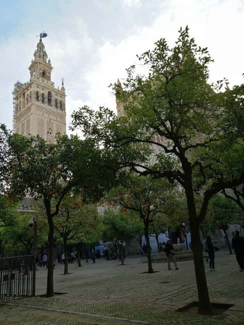 SEVILLE: SANTA MARIA DE LA SEDE CATHEDRAL TOUR - Good To Know