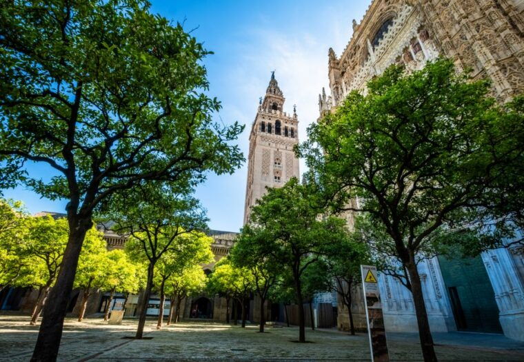 Seville: Small-Group Cathedral and Giralda Tour With Tickets - Important Considerations
