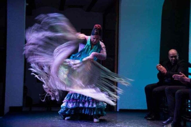 Seville: Tapas Dinner and Flamenco Show - Tapas Dinner and Tasting Menu