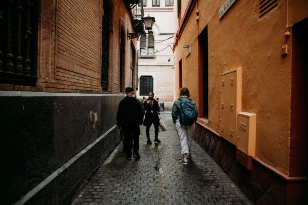 Seville: Tapas, Taverns, and History Walking Tour - Live Tour Guide and Small-Group Experience