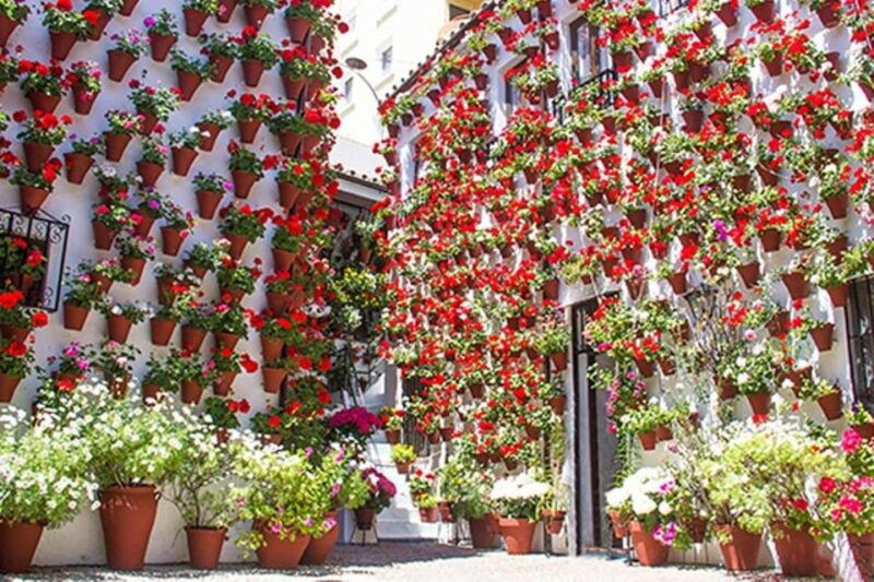 Seville: Tour to Cordoba and Mosque Cathedral - Itinerary Highlights