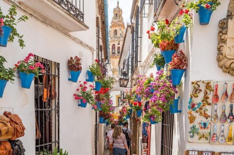Seville: Tour to Cordoba and Mosque Cathedral - Food and Dining Experience