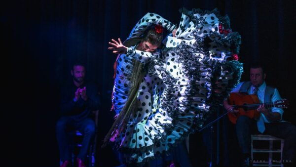 Seville: Traditional Flamenco Show in Triana - Common Questions