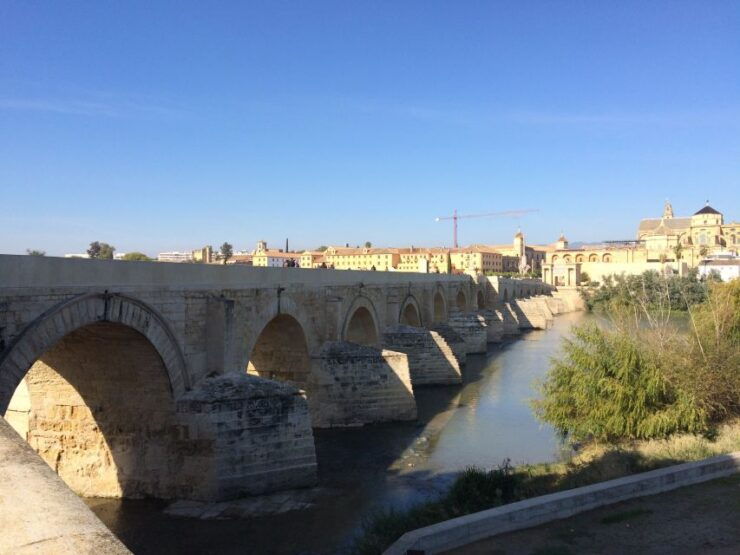 Seville: Transfer to Cordoba - Service Experience Highlights