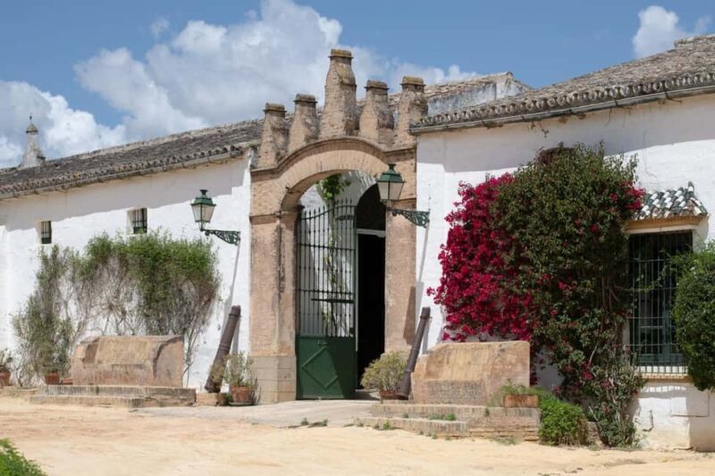 Seville: Visit Bodegas Góngora - Good To Know