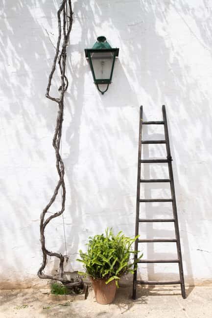 Seville: Visit Bodegas Góngora - A Closer Look at the Bodegas Góngora Tour