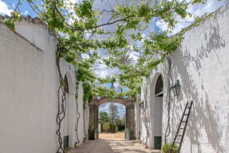 Seville: Visit Bodegas Góngora - Final Thoughts