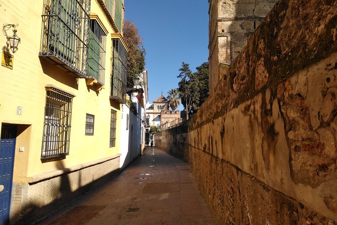 Seville, Walk Through the Heart of the City - Vibrant Street Life