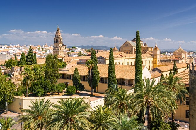 Seville's Royal & Gothic Splendors Tour - Tour Highlights