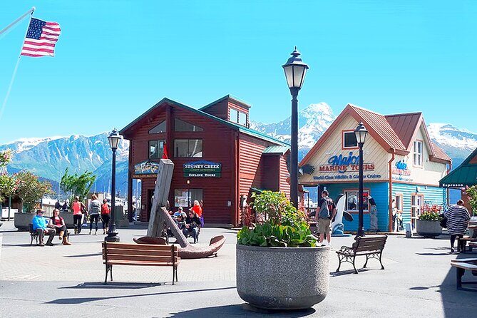Seward Alaska City Tour and Glacier Viewing - The Sum Up