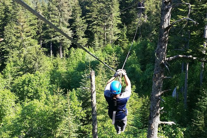 Seward Alaska Small-Group Ziplining Experience in Nature - Overview and Logistics