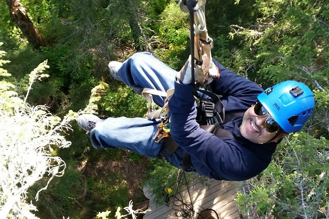 Seward Alaska Small-Group Ziplining Experience in Nature - Positive Experiences With Guides