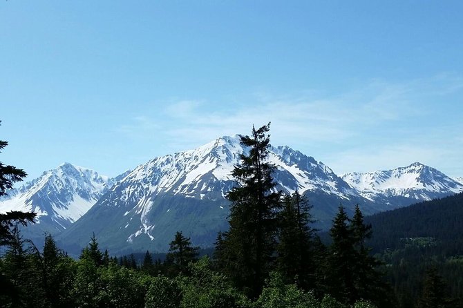 Seward Alaska Small-Group Ziplining Experience in Nature - Fun, Exciting Adventure, and Feeling Safe
