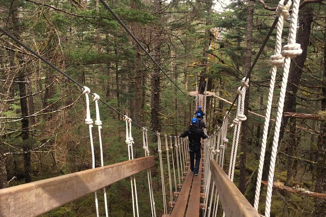 Seward Alaska Small-Group Ziplining Experience in Nature - Recommendations and Satisfaction