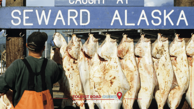 Seward: Audio for Self-Guided - Seasonal Highlights and Experiences