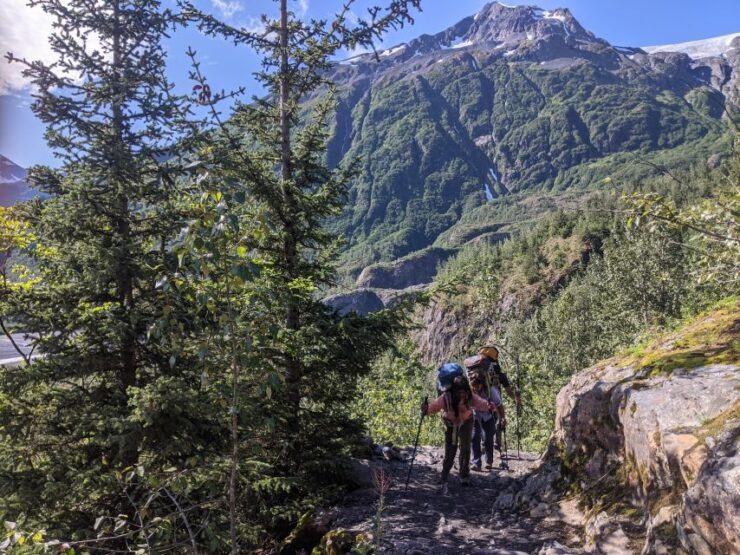 Seward: Guided Wilderness Hike With Transfer - Experience Highlights