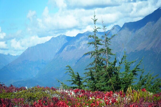 Seward Highway: A Self Guided Drive of Alaska's Historic Road - Final Thoughts