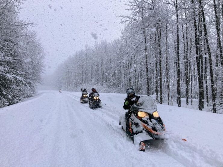 Seward: Kenai Fjords Multi-Day Snowmobile & Snowshoe Trip - Activity Details