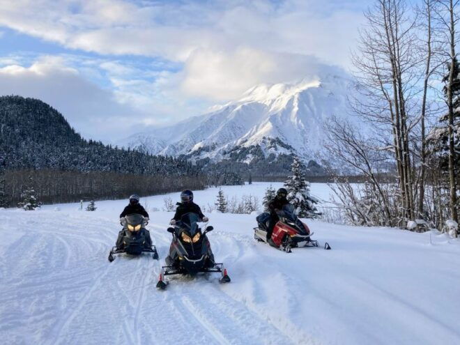 Seward: Kenai Fjords National Park Guided Snowmobiling Tour - Experience Description