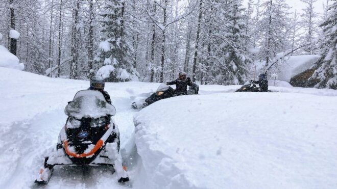 Seward: Kenai Fjords National Park Guided Snowmobiling Tour - Customer Reviews