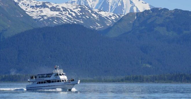 Seward: Resurrection Bay and the Kenai Fjords Orca Cruise - Live Tour Guide and Accessibility