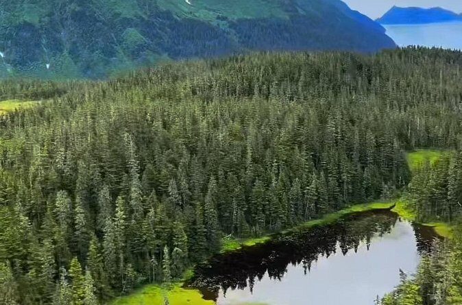 Seward Scenic 30 min Flight - FAQ