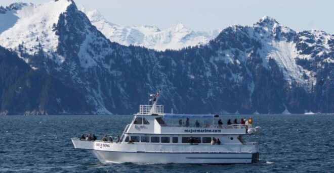 Seward: Spring Wildlife Guided Cruise With Coffee and Tea - Spot Unique Whale Species in Their Natural Habitat