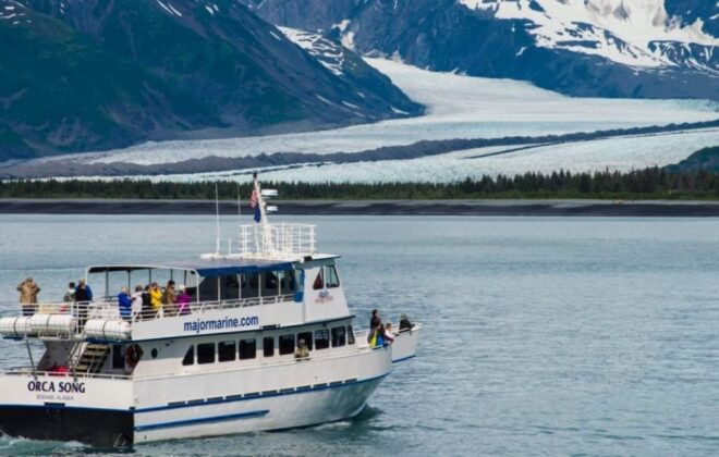 Seward: Spring Wildlife Guided Cruise With Coffee and Tea - Learn From Knowledgeable Guides About Whales and Wildlife