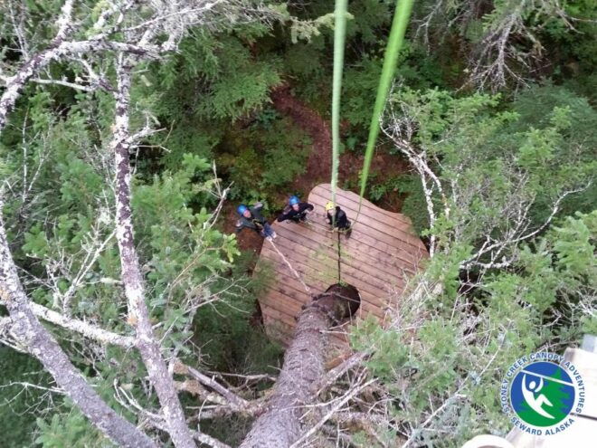 Seward: Stoney Creek Canopy Adventure - Tour Details