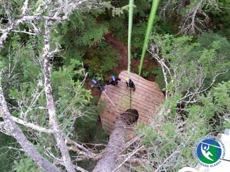 Seward: Stoney Creek Canopy Tour With Zipline - Tour Highlights