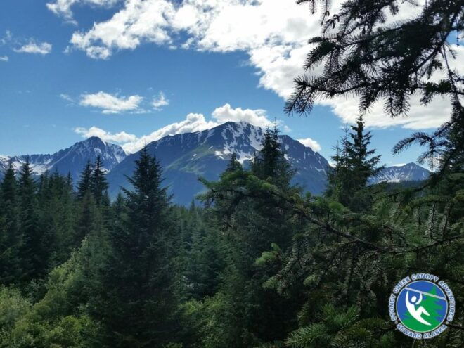 Seward: Stoney Creek Canopy Tour With Zipline - Customer Feedback