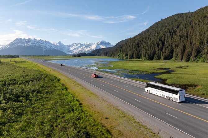 Seward to Anchorage Direct Transfer Tour - Good To Know