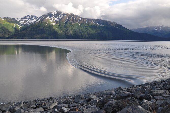 Seward to Anchorage Direct Transfer Tour - Who would love this transfer?