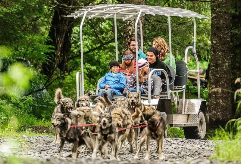 Seward: Turning Heads Kennel Tour & Dog Sled Ride - Good To Know