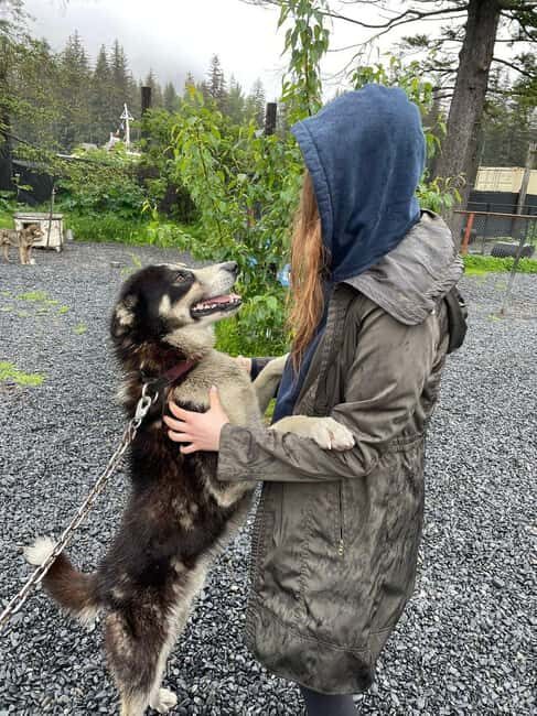 Seward: Turning Heads Kennel Tour & Dog Sled Ride - Who Will Love This Tour?