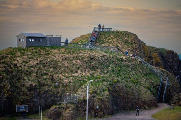Seydisfjordur: Scenic Drive and Puffins Half-Day Trip - Recommended Attire