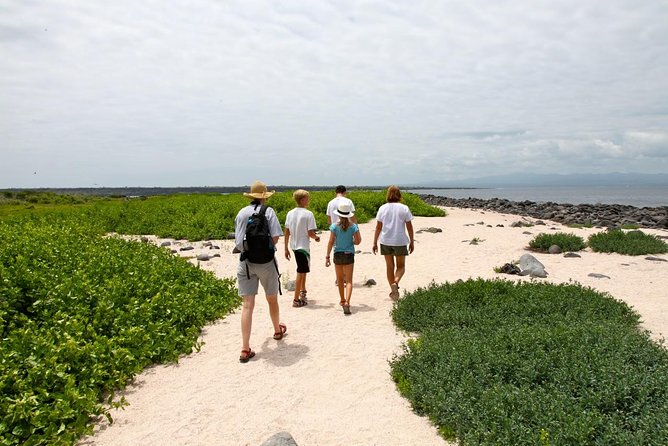 Seymour North Island & Las Bachas Full-Day Tour - Meeting and Pickup Information